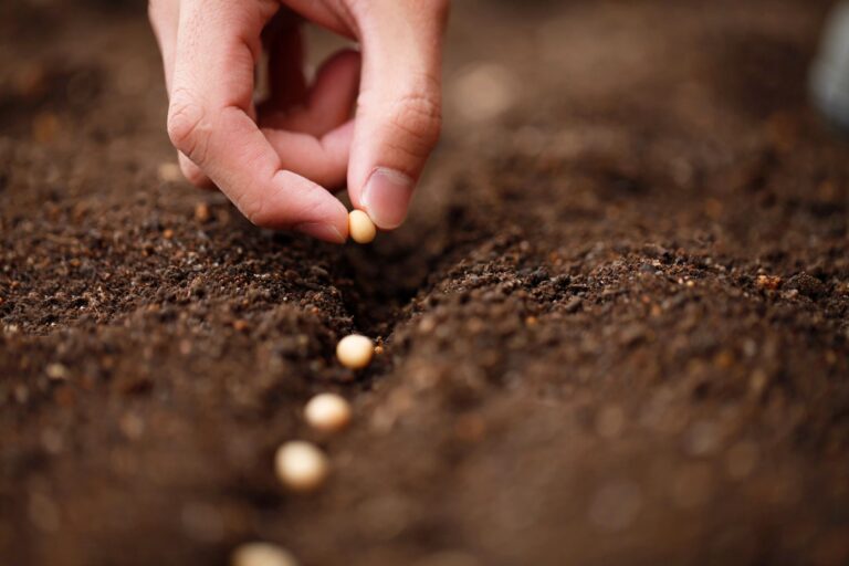 Strengthening Your Spirit Through Intentional Prayer: A Path to Self-Love